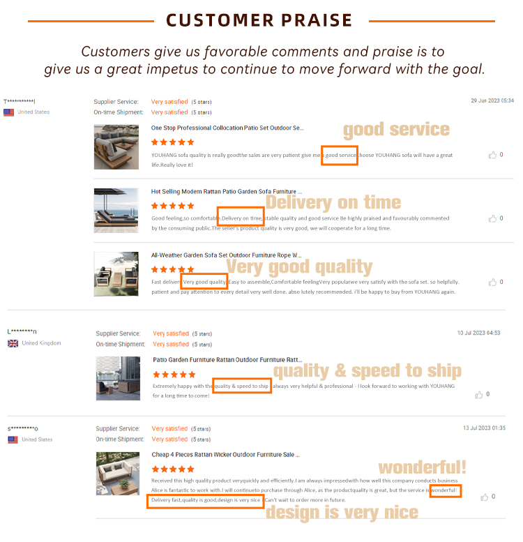 Client Feedback and Praise