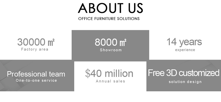 Company overview 1