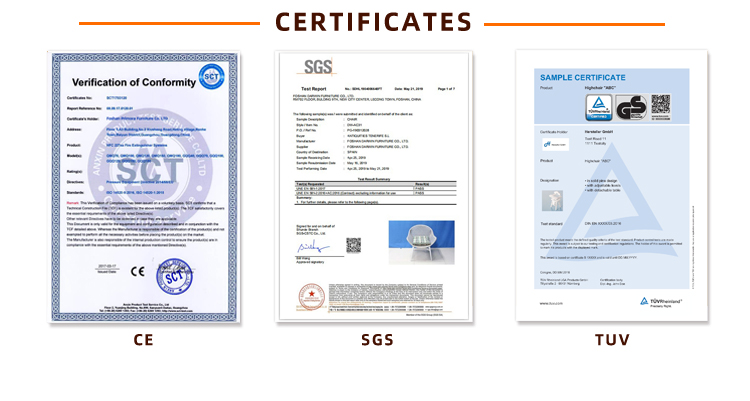 SGS Test Report and Certification