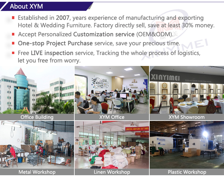 About XYM 1
